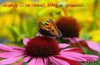 /album/fotogaleria/radosc-jpg/